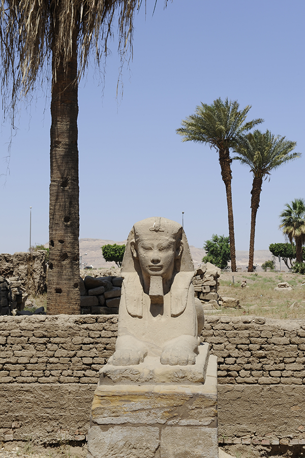 尼罗河：烈日灼人