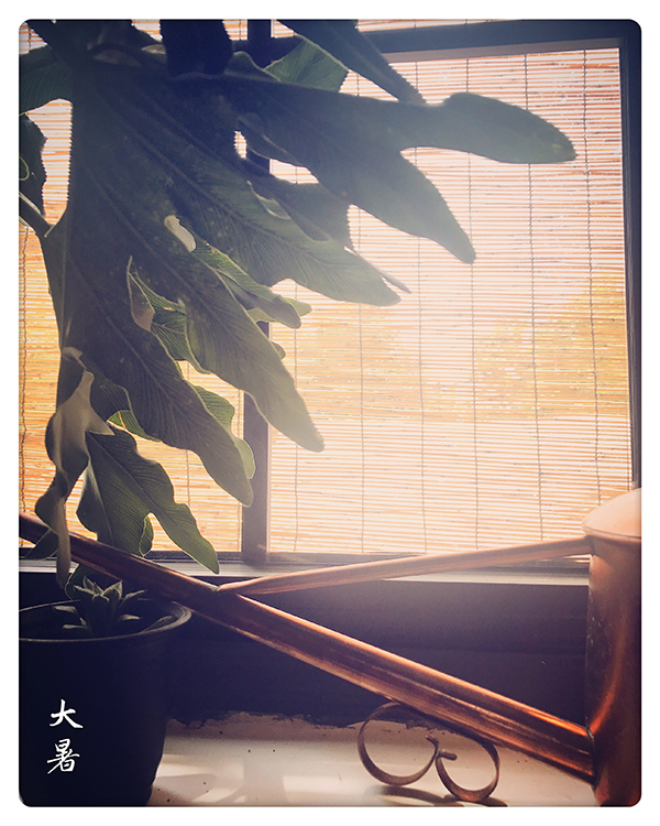 视频｜大暑：鸡汤茶泡饭，热散由心静