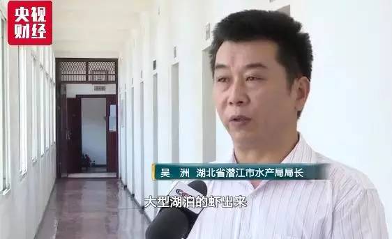 湖北小龙虾供不应求，有采购商从高速公路开始拦送虾车抢购