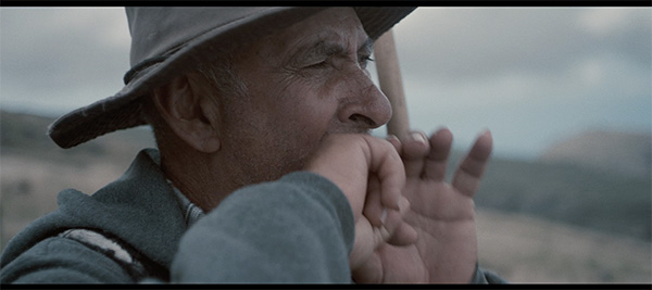 加那利的云雾林中，那个吹口哨的人