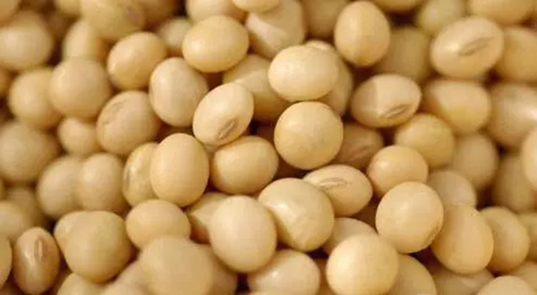 两个月，18种转基因农产品获进口许可，中国也有“苦衷”