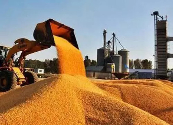 两个月，18种转基因农产品获进口许可，中国也有“苦衷”