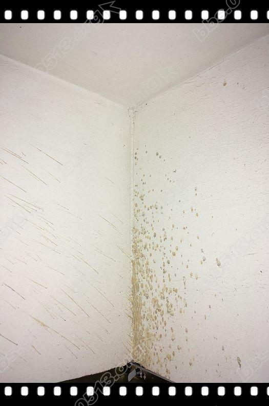 闭水检查卫生间 (9).jpg