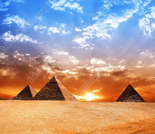 0.webp (11)_副本.jpg