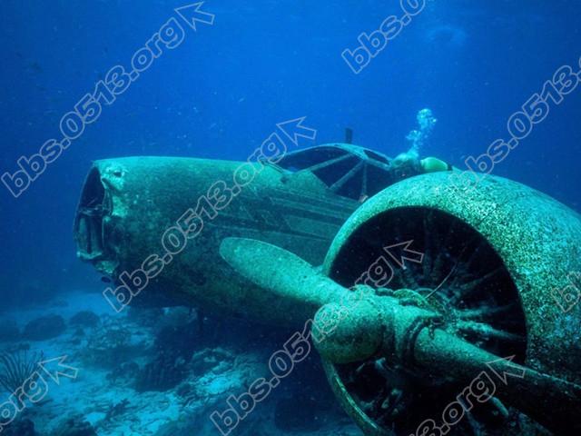 0.webp (29)_副本.jpg