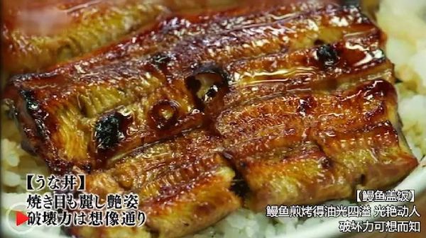 鳗鱼饭、鸭肉、羊肉和猪肘，这个夏天减肥也得先吃好再减