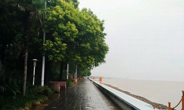 崇明岛醍醐味：菜若好吃，得有泥土腥香