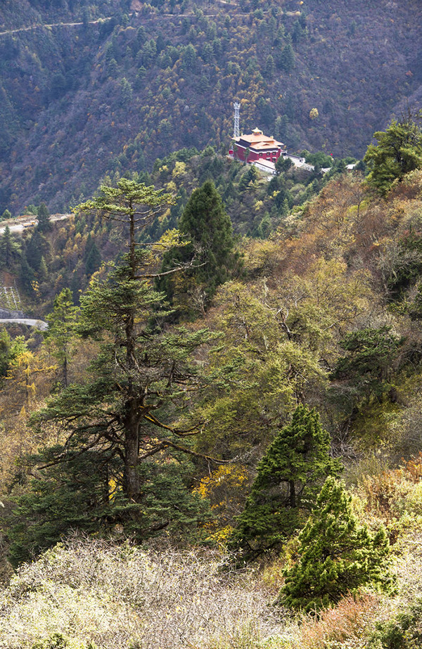 重访西藏古商道：从江孜到亚东关
