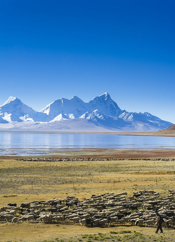 重访西藏古商道：从江孜到亚东关