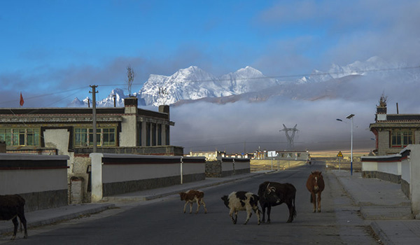 重访西藏古商道：从江孜到亚东关