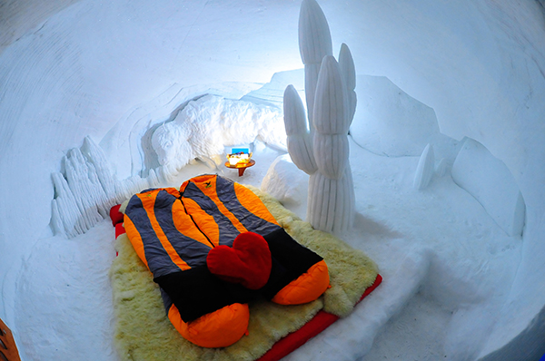 趣看｜外面辣么热，只想点着火炉在冰床上取暖