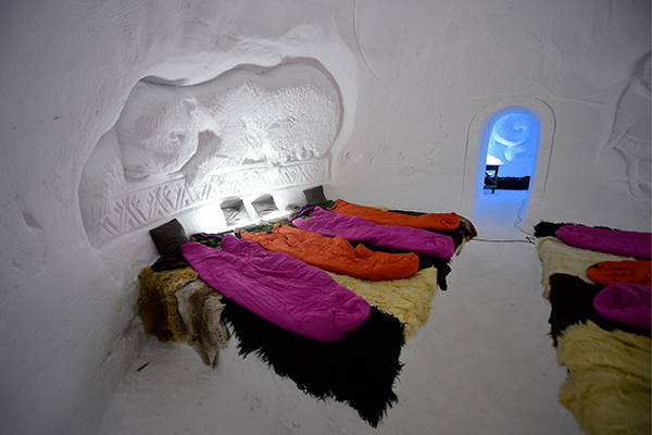 趣看｜外面辣么热，只想点着火炉在冰床上取暖