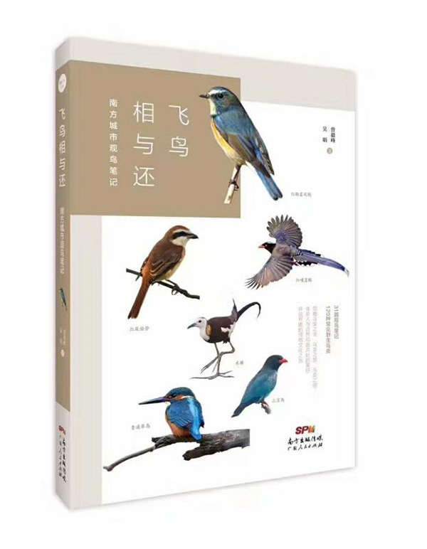 握住通往大自然的门票，“中山鸟人”与他们的南方观鸟笔记