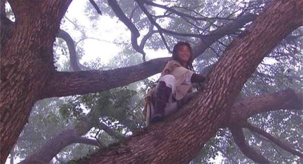 想当年｜黄晓明版《神雕侠侣》：金玉其外