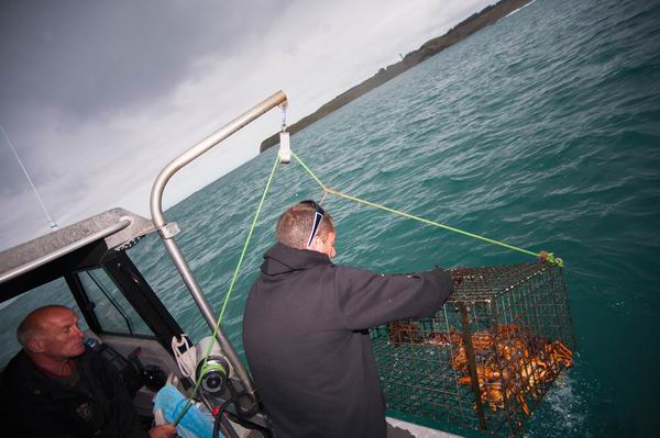 除了好山好水，新西兰还有好吃好喝