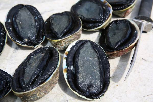 除了好山好水，新西兰还有好吃好喝