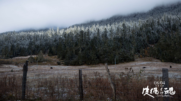 《皮绳上的魂》能否复制《冈仁波齐》的成功