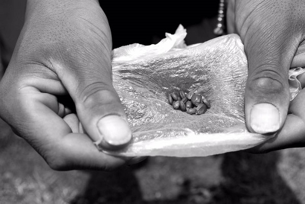 特写 | 转山，以冈仁波齐之名