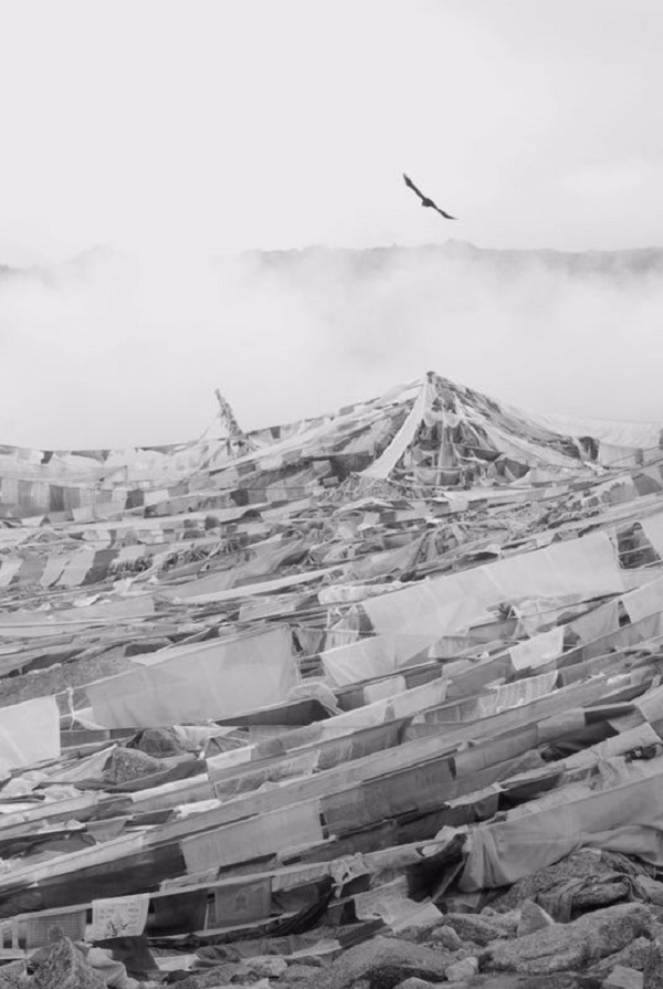 特写 | 转山，以冈仁波齐之名