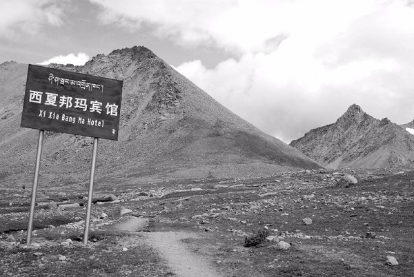 特写 | 转山，以冈仁波齐之名