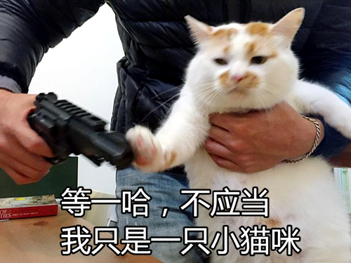 澎湃联播｜生活已经给人无数考验，旁人就别画蛇添足