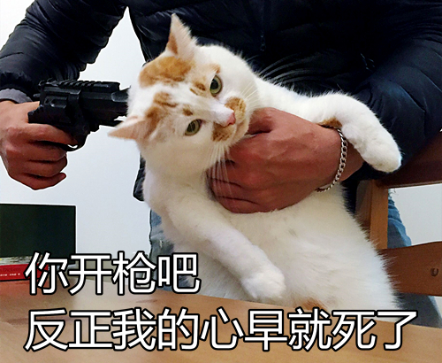 澎湃联播｜生活已经给人无数考验，旁人就别画蛇添足