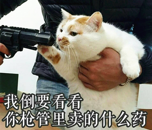 澎湃联播｜生活已经给人无数考验，旁人就别画蛇添足