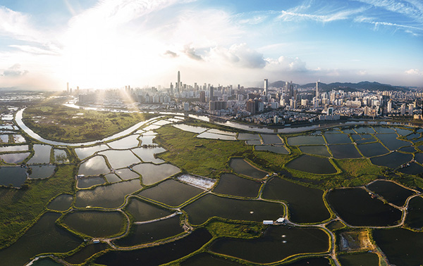 对话国家地理年度获奖摄影师杨安迪：在高密度空间找寻诗意