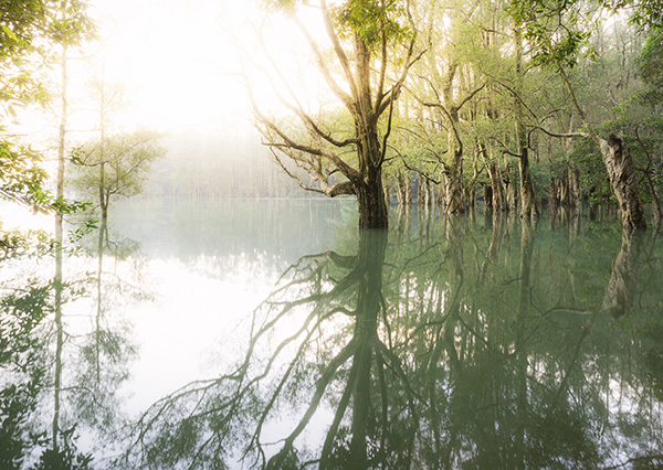 对话国家地理年度获奖摄影师杨安迪：在高密度空间找寻诗意