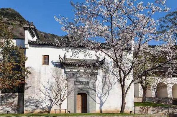 这三家长三角酒店，承包了你还剩下一半的暑假