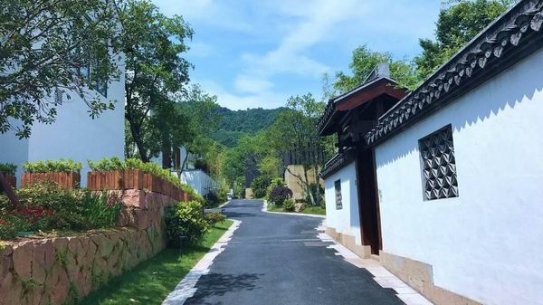 这三家长三角酒店，承包了你还剩下一半的暑假