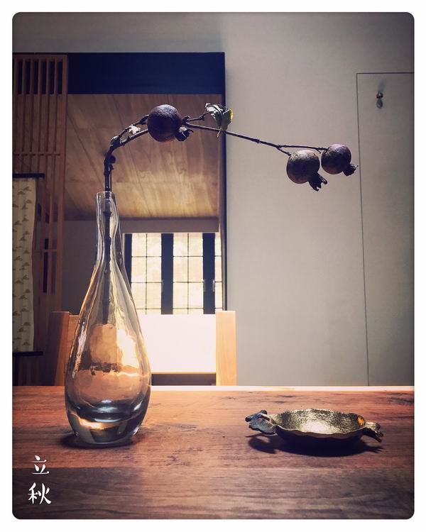 视频｜立秋：卤牛肉葱油拌面，一叶梧桐一报秋