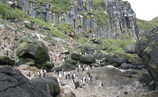 这些隐秘海岛趁别人还没发现赶紧去吧