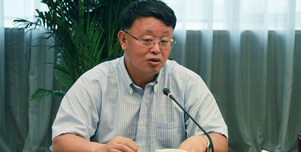 孟建民：要积极推动产业结构调整、带动央企产业重组与整合