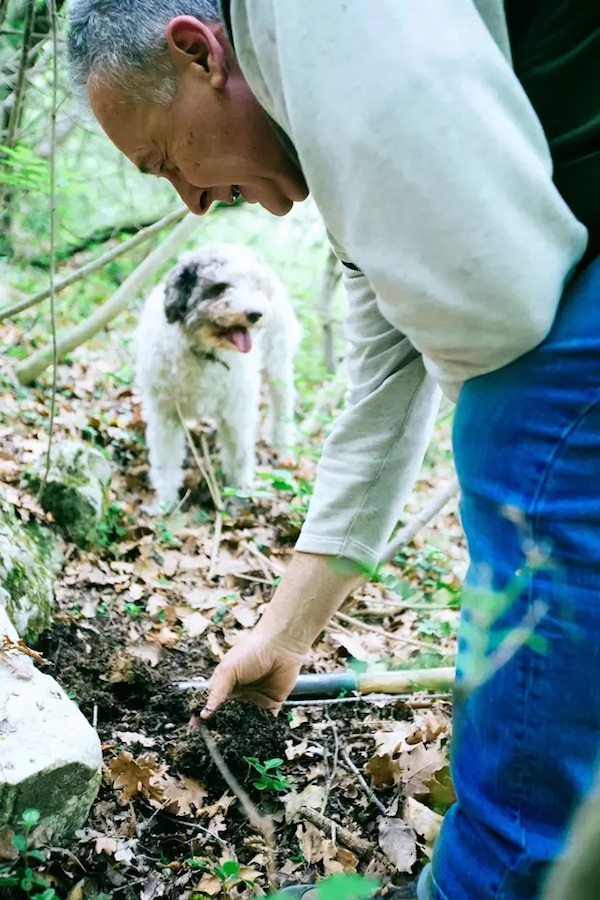 一个人旅行可以做的事情有很多