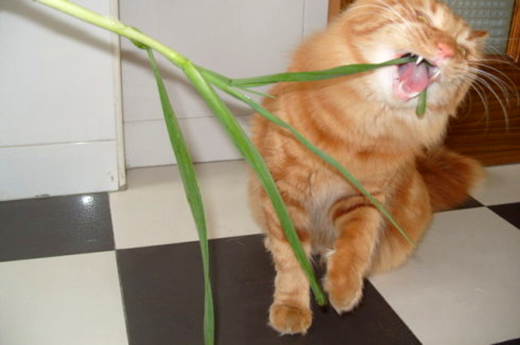 澎湃联播｜当我们在坐地铁时候，我们在做些什么？