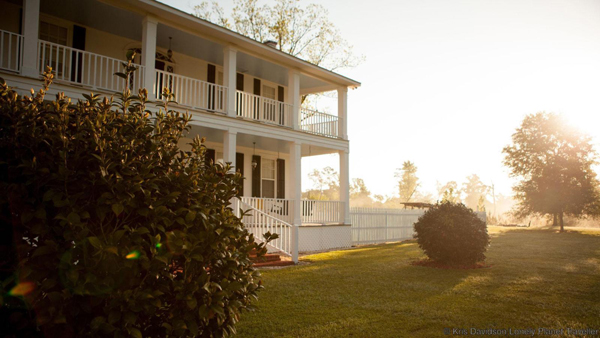 寻找“知更鸟”的踪迹