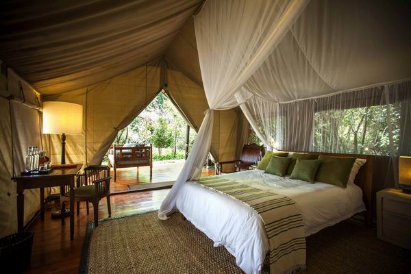 电影《战狼2》点燃整个暑期档，取景地非洲成下一站旅行热点