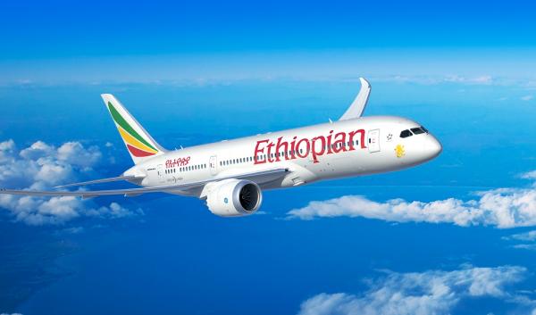 电影《战狼2》点燃整个暑期档，取景地非洲成下一站旅行热点