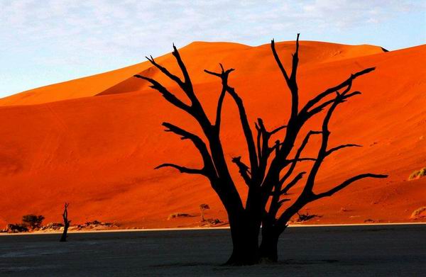 电影《战狼2》点燃整个暑期档，取景地非洲成下一站旅行热点