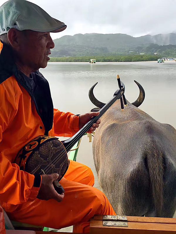 古树、星砂、水牛车，冲绳这些小岛人少景好