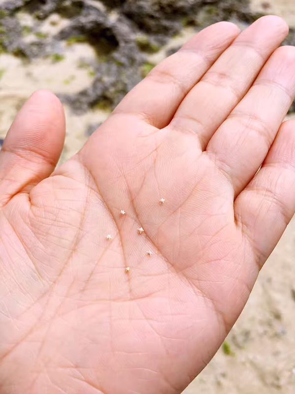 古树、星砂、水牛车，冲绳这些小岛人少景好