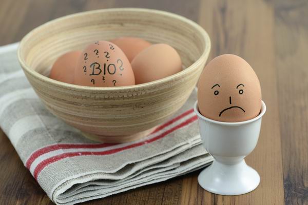 欧洲“毒鸡蛋”席卷16国，还能放心吃鸡蛋吗？