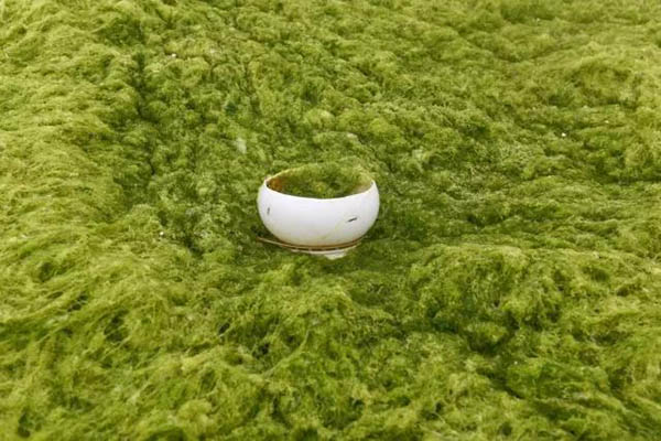 看展览｜第七届大理国际影会：“生活在别处——守望?家园”