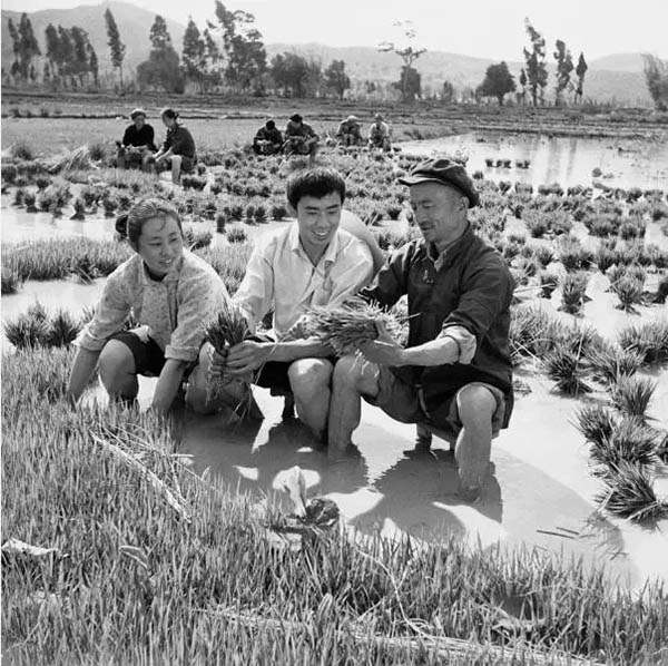 看展览｜第七届大理国际影会：“生活在别处——守望?家园”