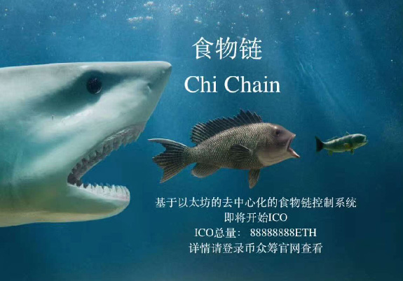 虚拟货币的混乱江湖：有人半夜爆仓，有人发行代币圈完钱就走