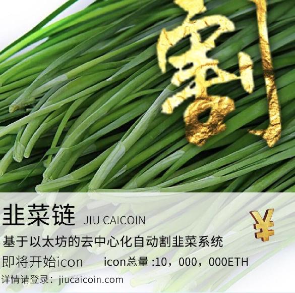 虚拟货币的混乱江湖：有人半夜爆仓，有人发行代币圈完钱就走