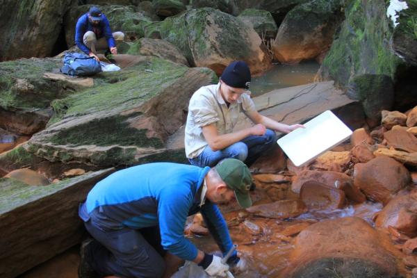 澳旧矿高毒性污水流入悉尼饮用水源流域，重金属超标120倍