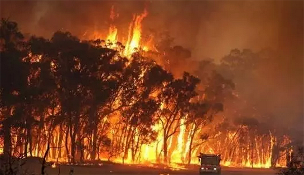 全身65%被烧伤，200多次手术，跑步让她浴火重生