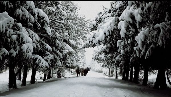 视频 | 游牧之声，关于“潮尔”的田野记录